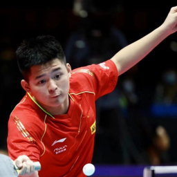 数据显示 数据显示